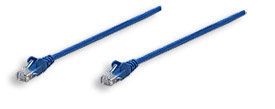 Cable de Red INTELLINET 319775